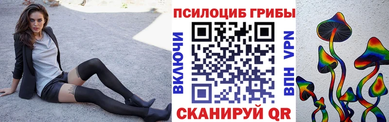 Псилоцибиновые грибы Psilocybine cubensis  Купить  Калач 