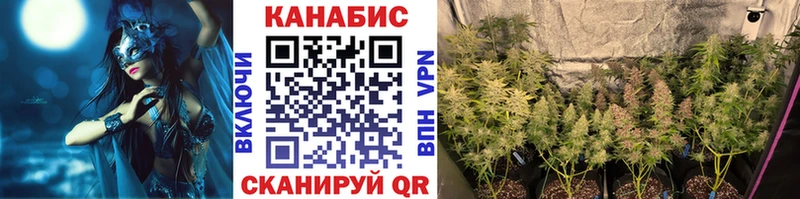 Конопля конопля  Купить закладки  Калач 